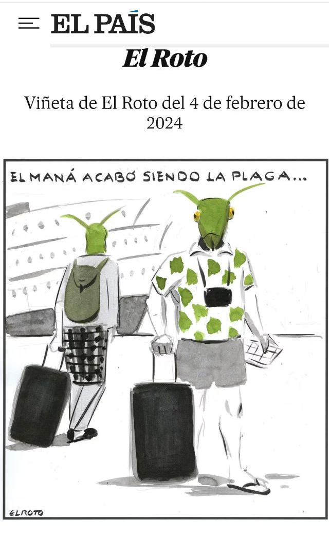 EL ROTO