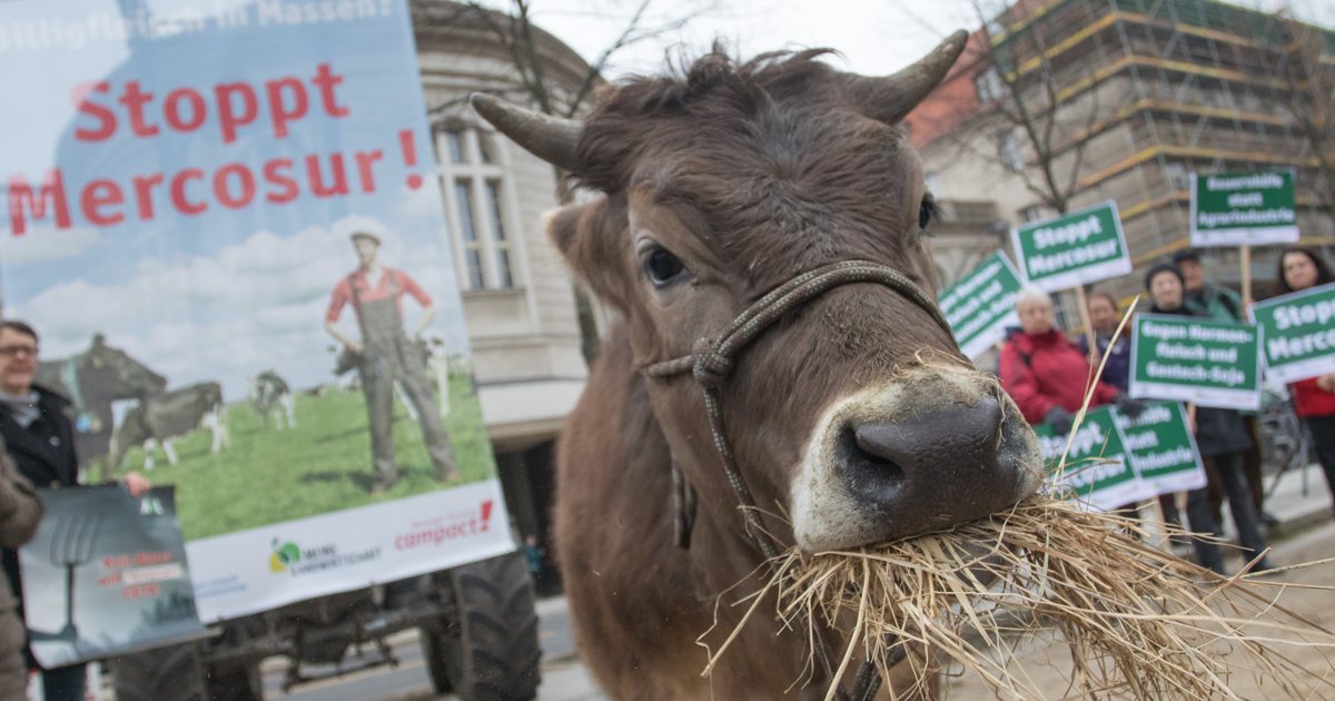 Protesta campesina en 2021 contra el Acuerdo UE-MERCOSUR foto CNCD