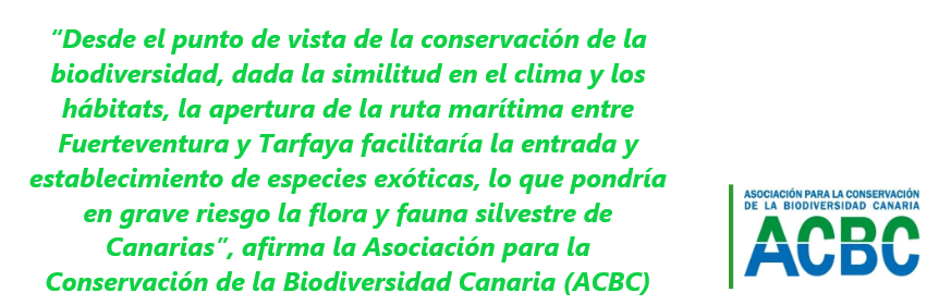 FR ACBC