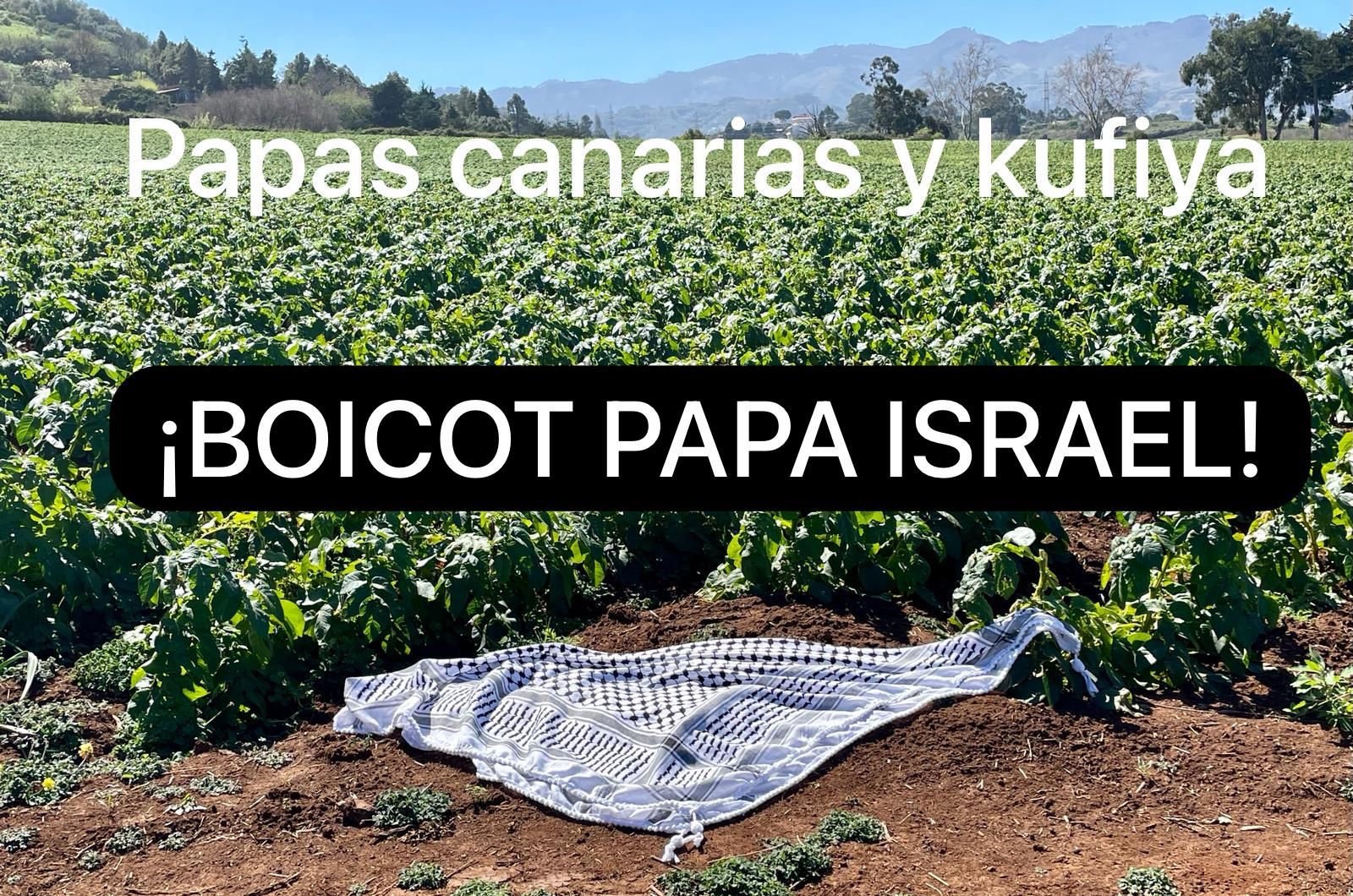 PALESTINA P