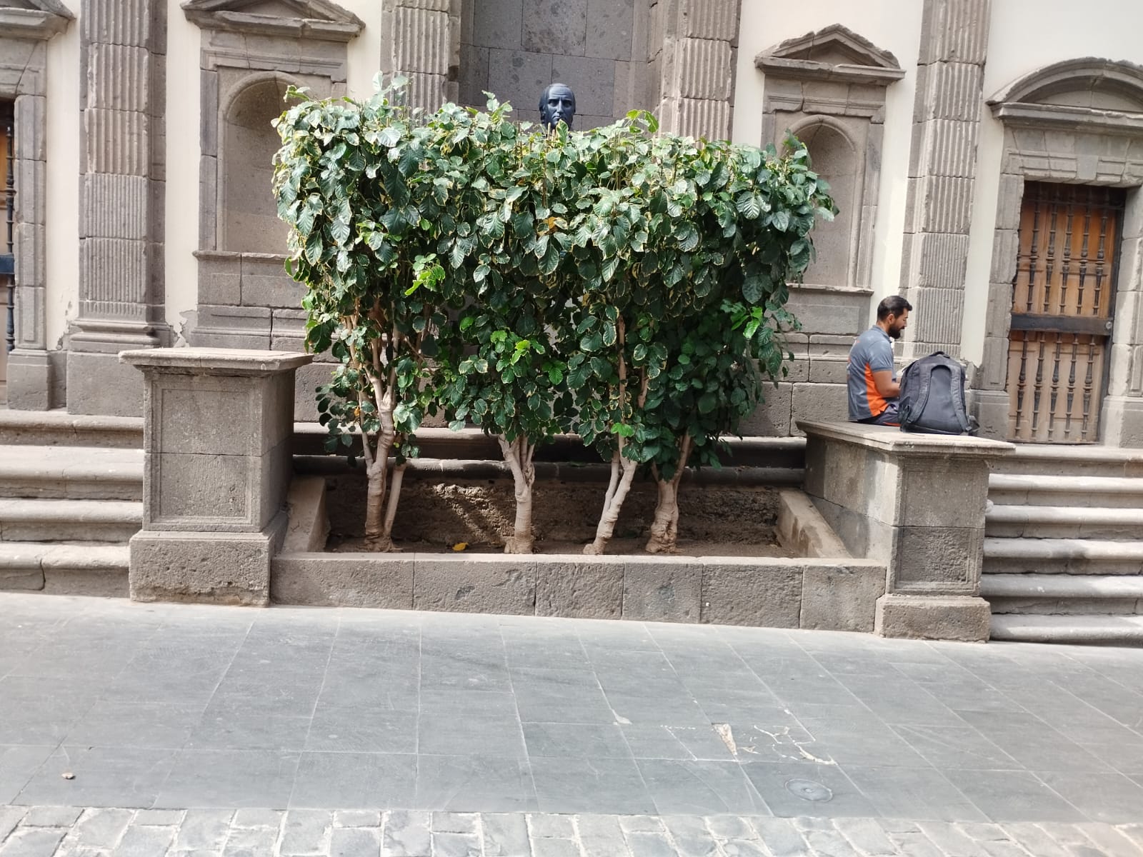 LUJÁN ERASMO 3