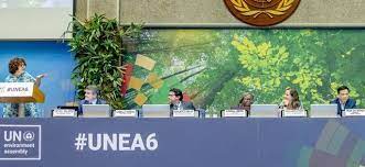 UNEA 6