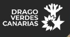 DRAGO VERDES CANARIAS