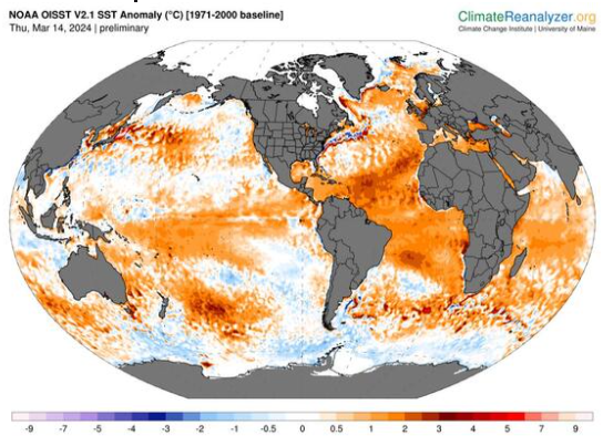 Anomalías en la temperatura de la supericie oceánica el 14 de marzo, en comparación con la media del período 1971-2000. Fuente: NOAA