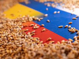 GRANO RUSO GRANO UCRANIANO