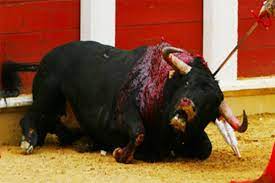 TOROS