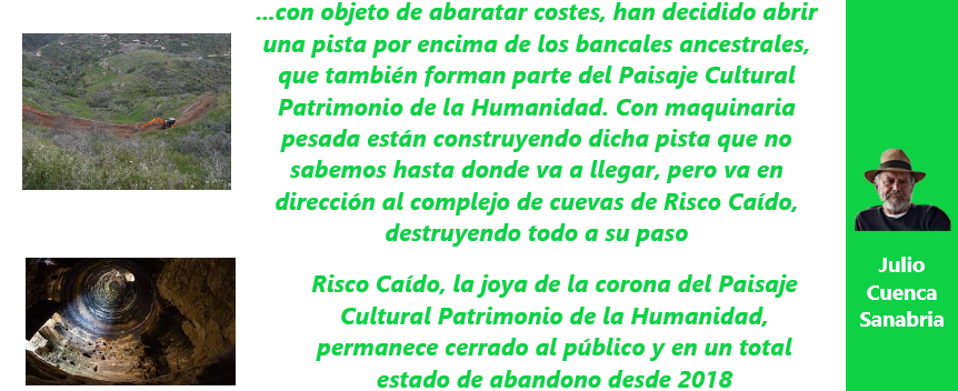 fr jcs