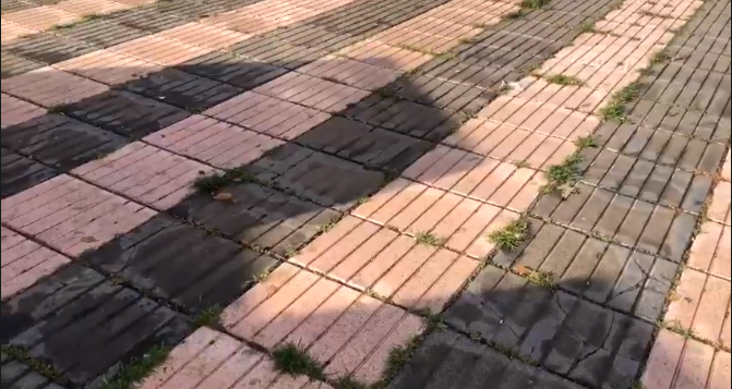 LPGC 
Los hierbajos se adueñan del espacio dedicado al Doctor O'ShanahanCANARIAS 7