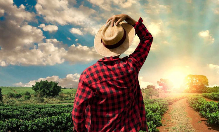 Campaña COAG de prevención de golpes de calor en la agricultura