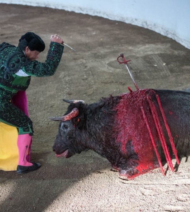 TORO