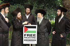 JUDÍOS POR PALESTINA