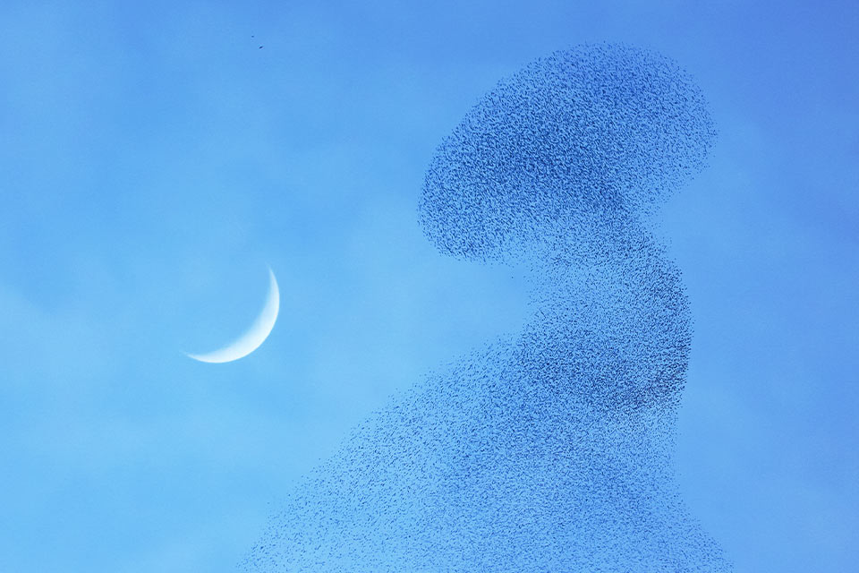 CONTAMINACIÓN EN EL AIRE Collab Media / Unsplash.com