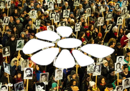 MARCHA DEL SILENCIO. LA FRAGIL, RESISTENTE, MARGARITA SOBRE UNA IMAGEN DE NATALIA ROVIRA