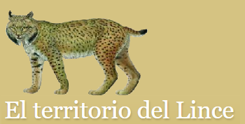 EL TERRITORIO DEL LINCE La casa de mi tía republica por el alto interés del contenido, según los principios de Uso Justo de la UE