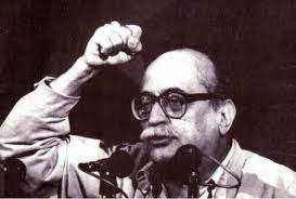FERNANDO SAGASETA
