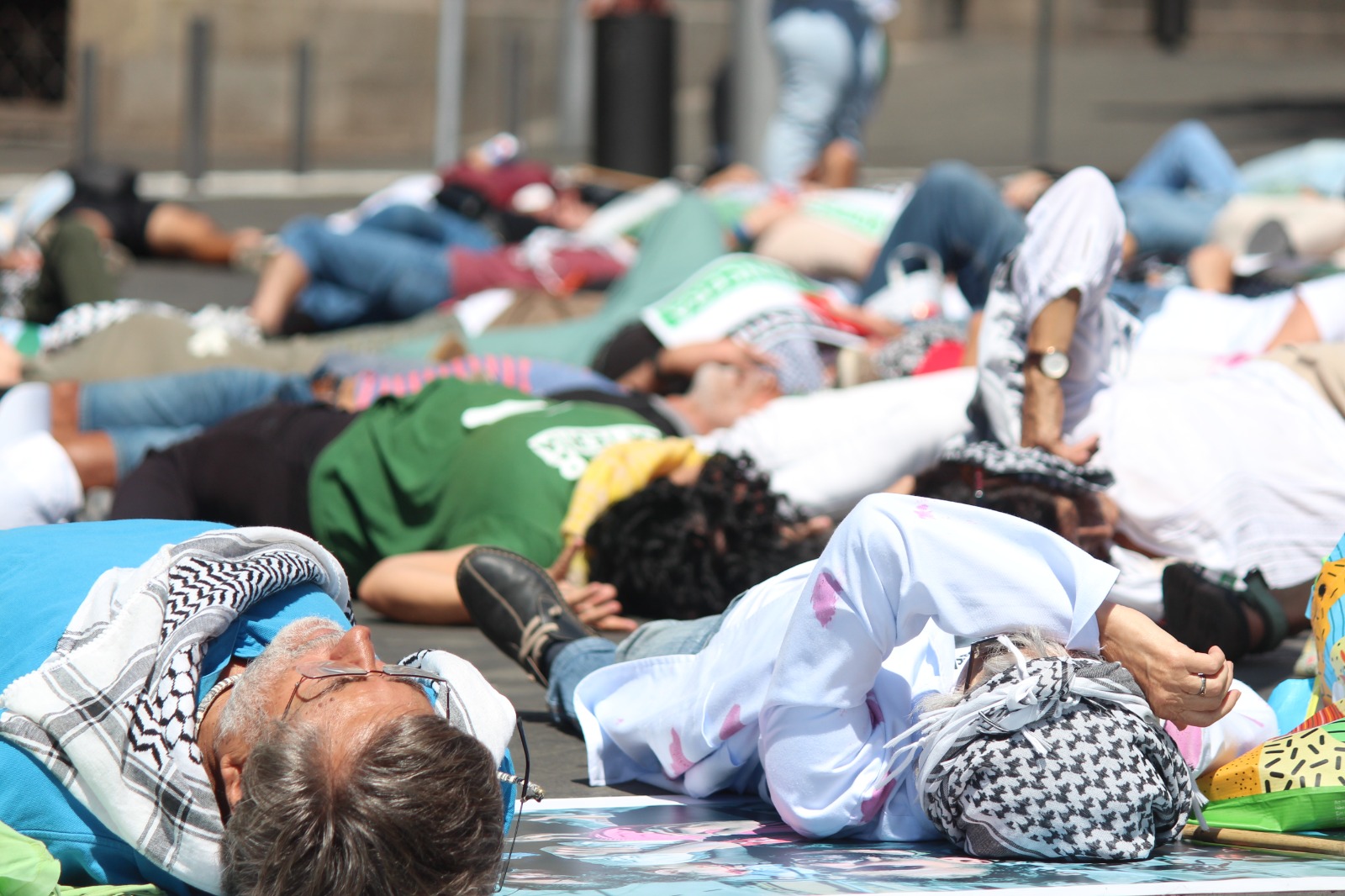 PALESTINA SCTF JUNIO 2024