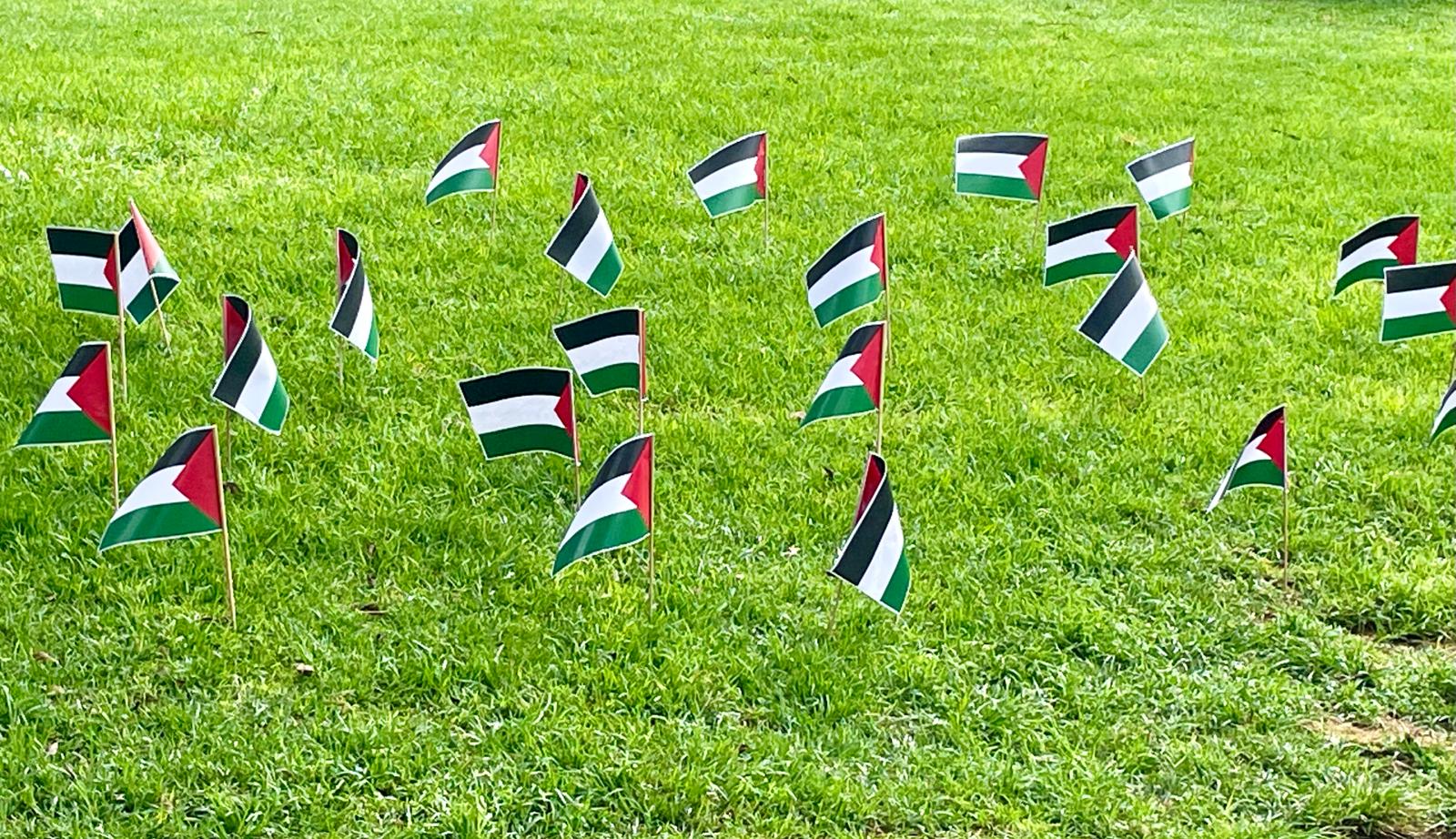 PALESTINA LPGC JULIO 2024
