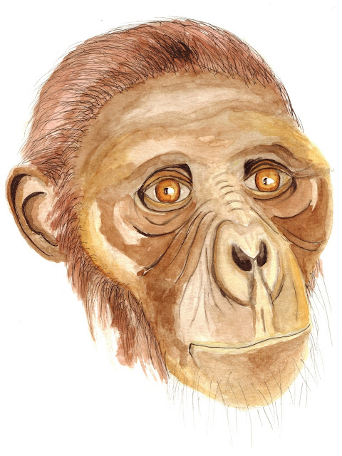 "LUCY" Australopitecus afarensós, por Verônica Mírian Nascimento da Silva