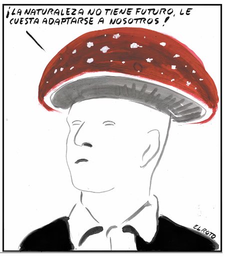 EL ROTO