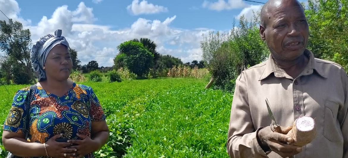 Las agencias de la ONU en su Informe 2024 proponen mayor financiamiento para la producción local como estos productores de batata de Tanzania _Foto Naciones Unidas
