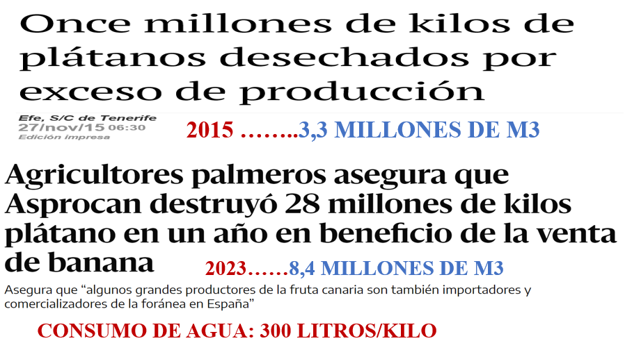 Captura de pantalla 2024-08-07 231759