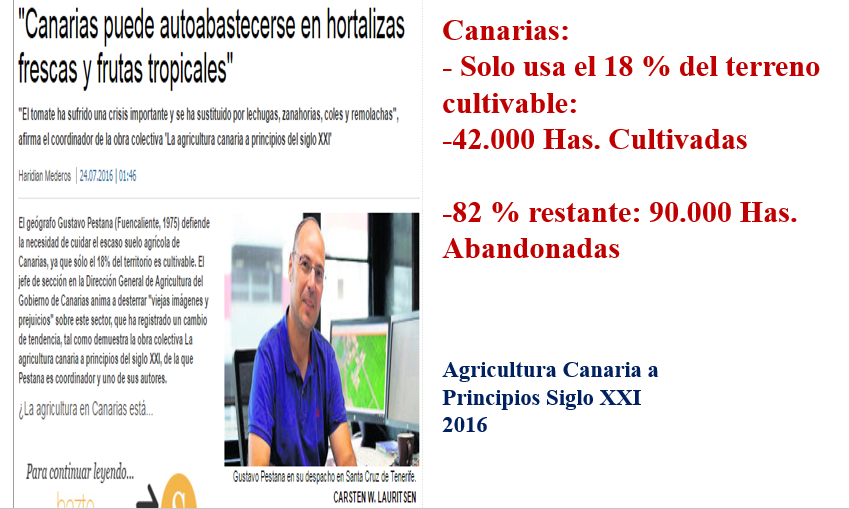 Captura de pantalla 2024-08-07 231745