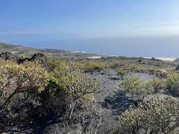 LA PALMA