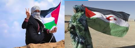 PALESTINA SÁHARA