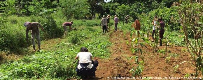 Agricultura agroecológica para combatir el cambio climático Foto Vía Campesina