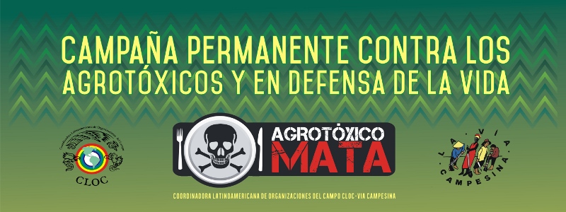 La Vía Campesina mantiene una campaña permanente contra el uso de los plaguicidas tóxicos que afectan la salud humana y destruyen el medioambiente