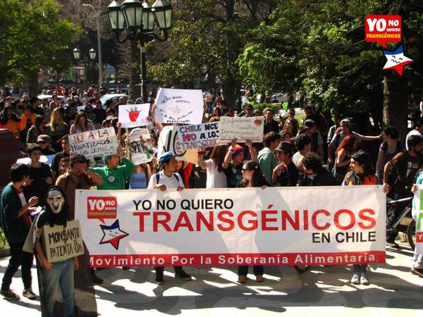 Manifestación en Chile contra los productos trasngénicos de la multinacional Monsanto