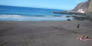 SARDINA DEL NORTE