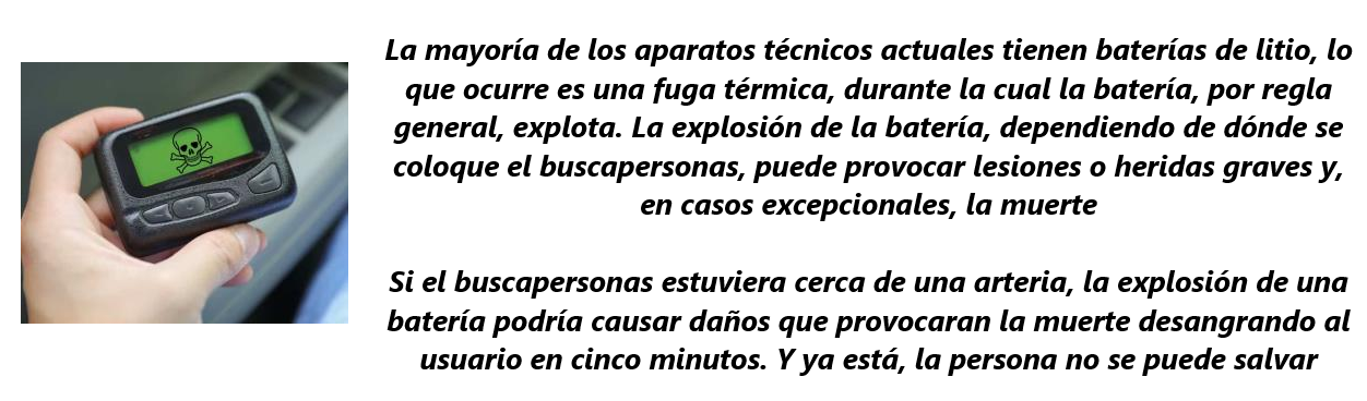 FR BUSC