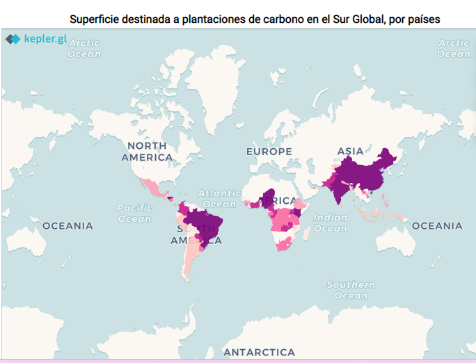 PLANTACIONES CARBONO