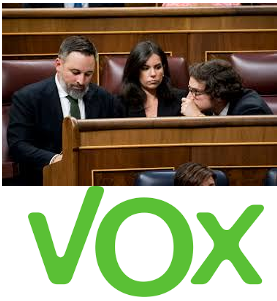 VOX EN EL CONGRESO