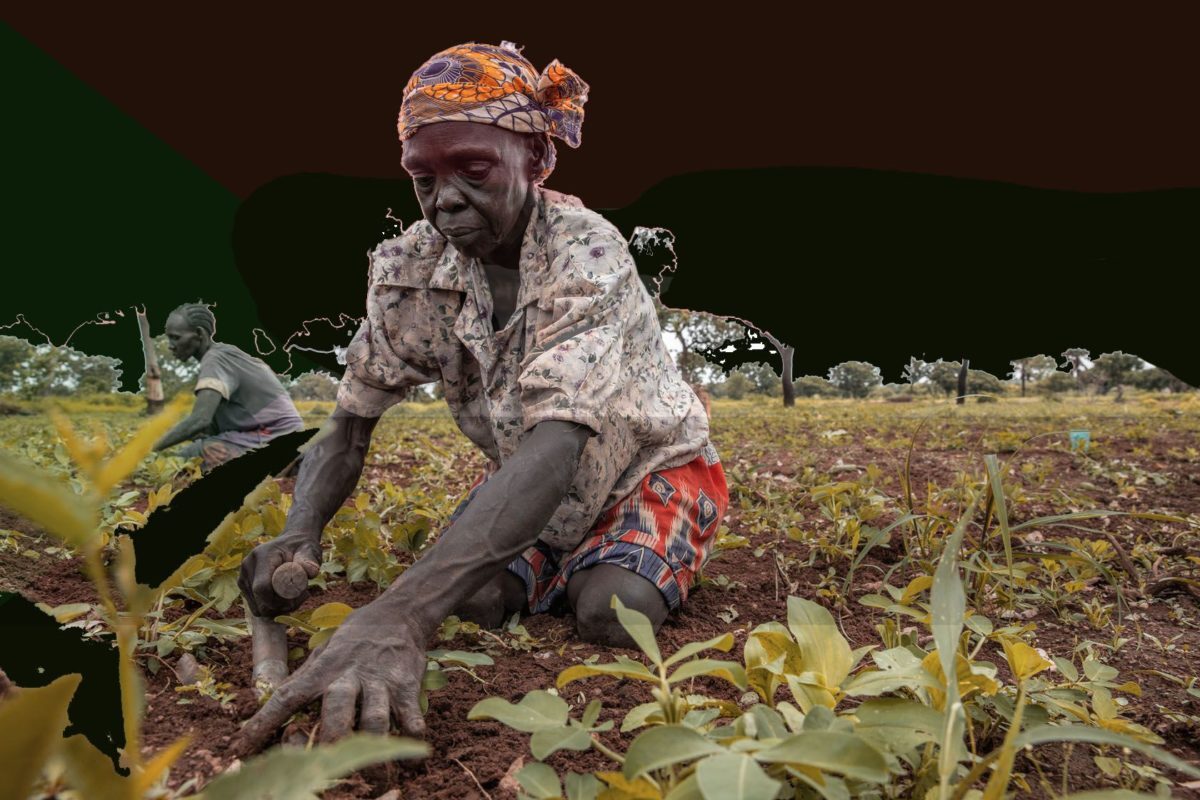 Africa subsahariana , una de las regiones del planeta más afectada por el flagelo del hambre_ Las mujeres africanas son la punta de lanza de la Soberanía Alimentaria Foto LVC