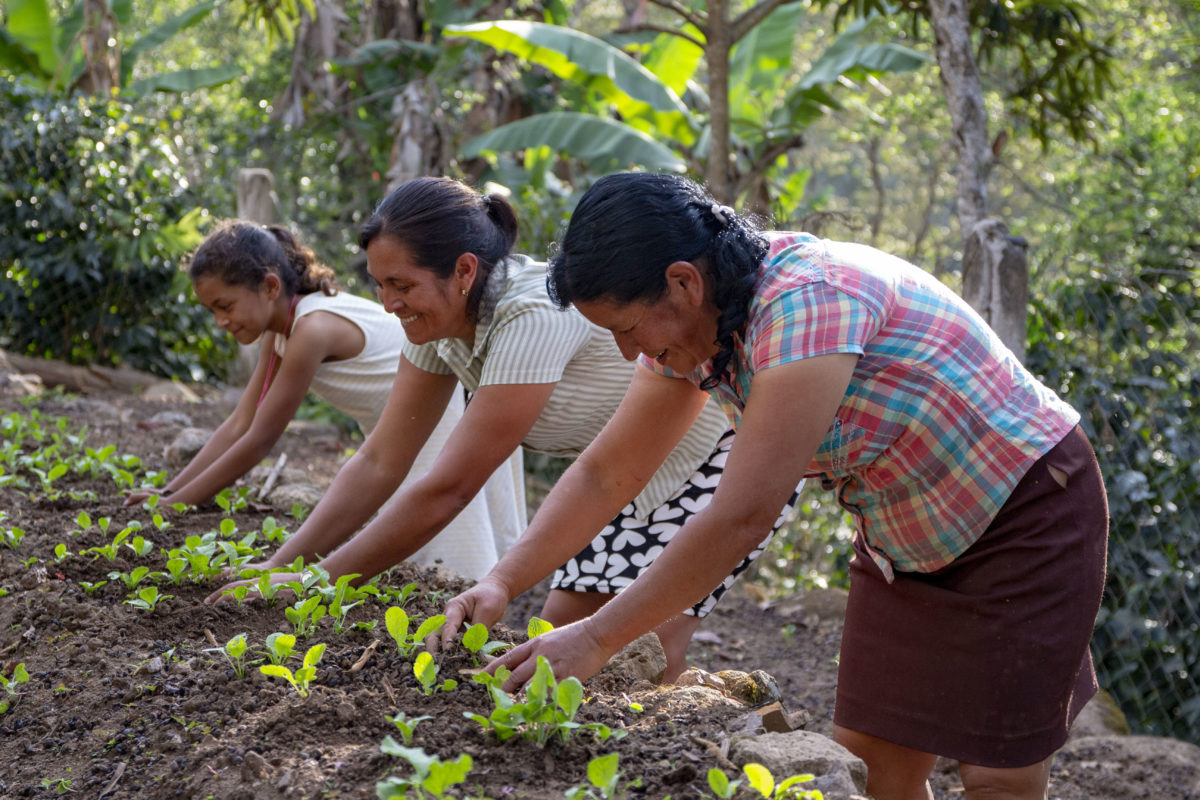 MUJERES CAMPESINAS