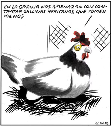 EL ROTO