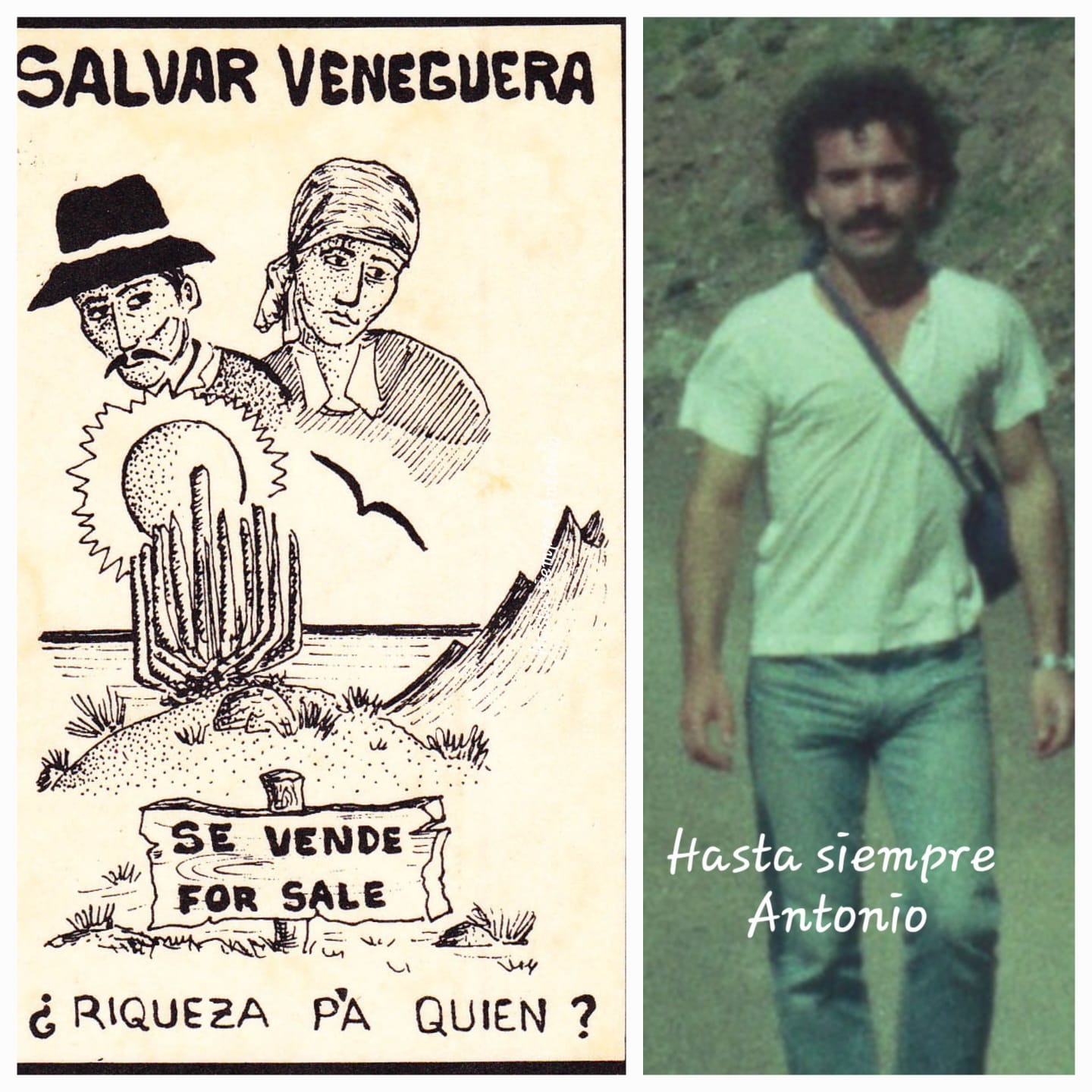AAA VENEGUERA