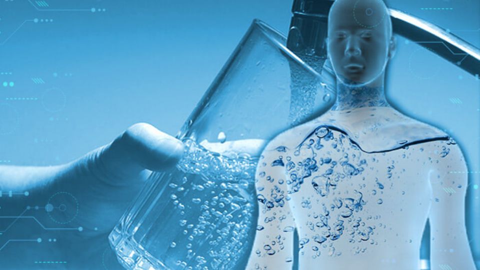 EL AGUA ES UN NUTRIENTE
