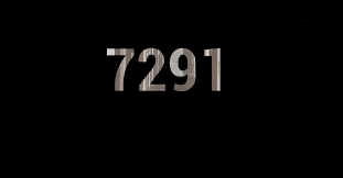 7291