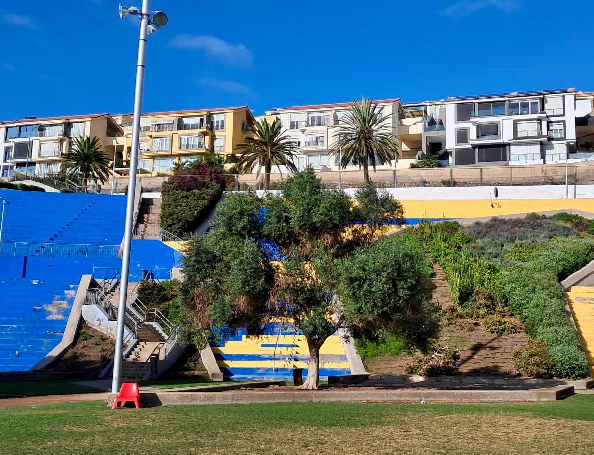 OLIVO POR PALESTINA, LAS PALMAS DE GRAN CANARIA
