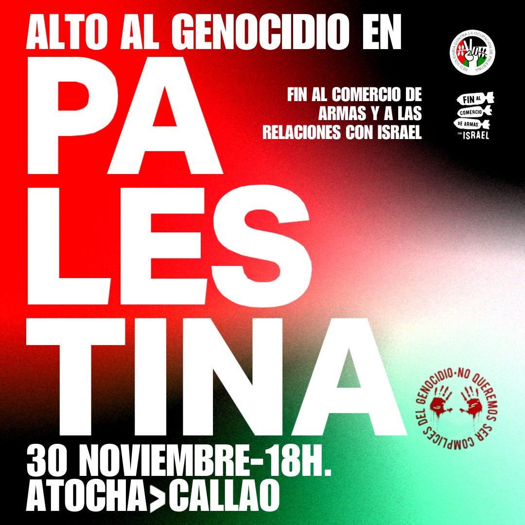 20241130_Mani_Palestina_Madrid