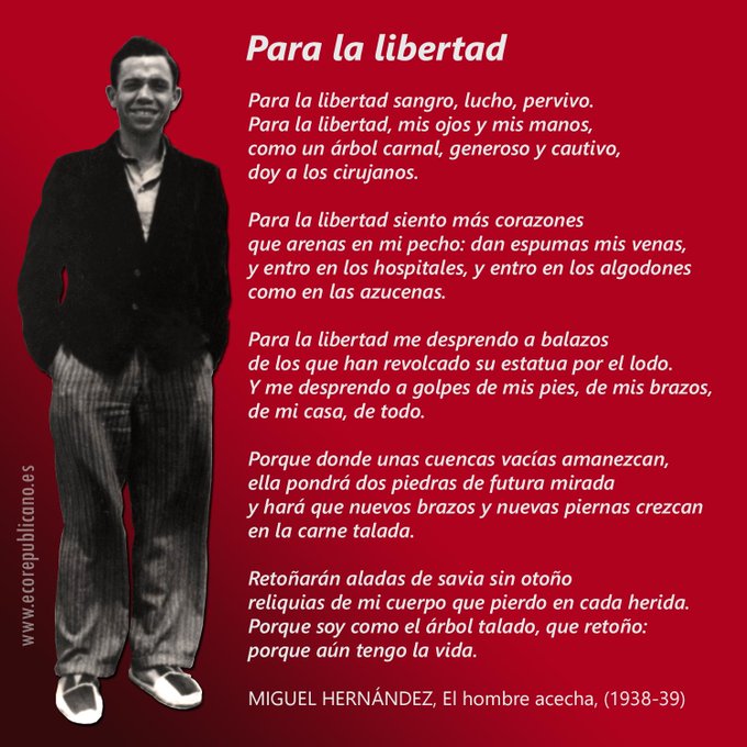 MIGUEL HERNÁNDEZ