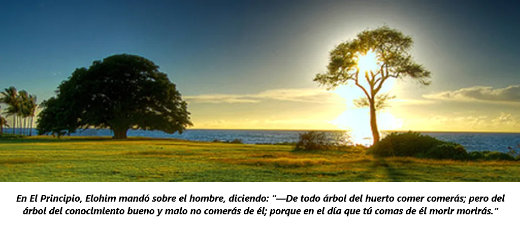 ARBOLES BIBLIA