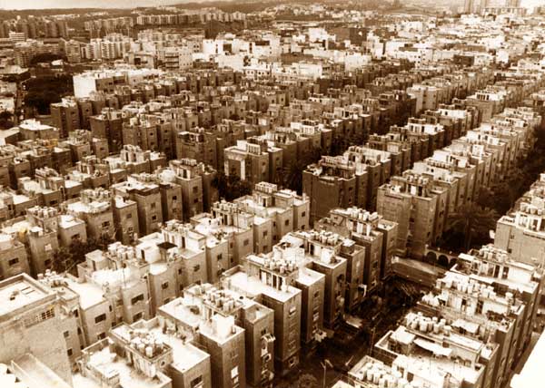 Schamann 1950 Adolfo Marrero Sosa Fedac