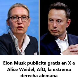 MUSK