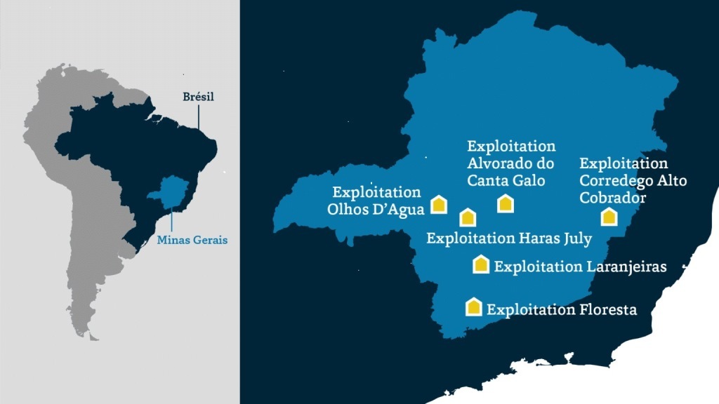 Seis fincas en Minas Gerais, Brasil, donde las condiciones de trabajo son cercanas a la esclavitud y de las cuales Nutrade compró café. Gráfico KOVI