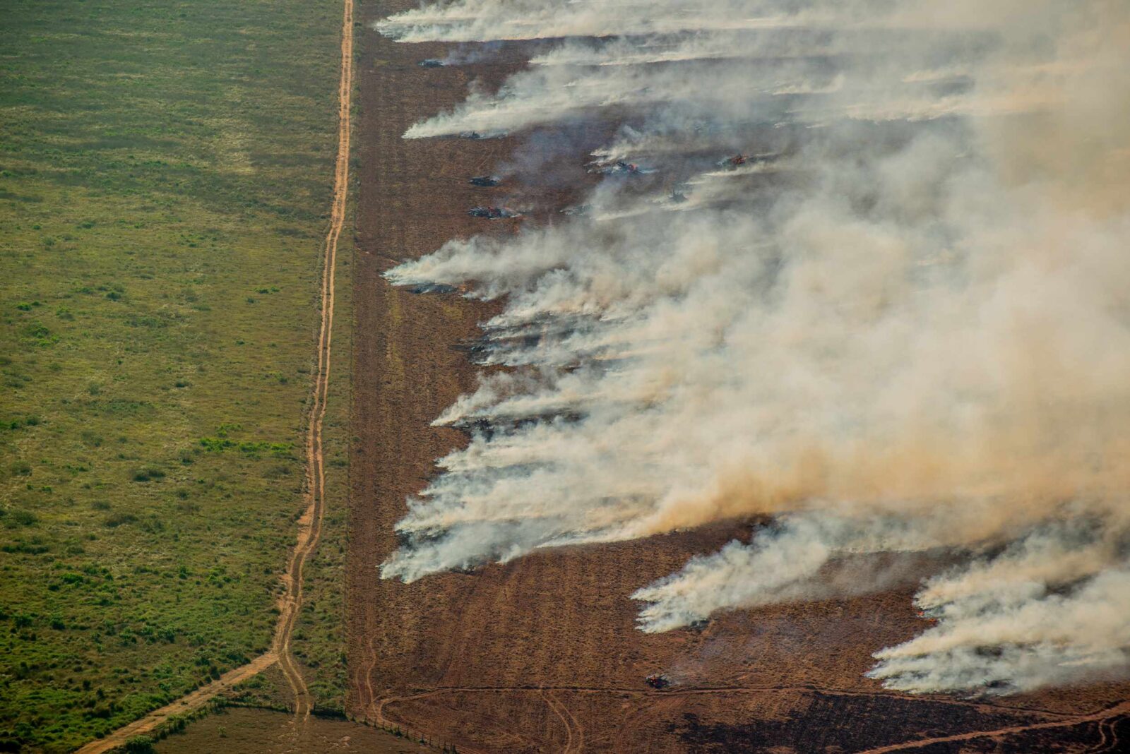 INCENDIO EN UNA PLANTACIÓN DE SOJA EN MATO GROSSO © Christian Braga / Greenpeace