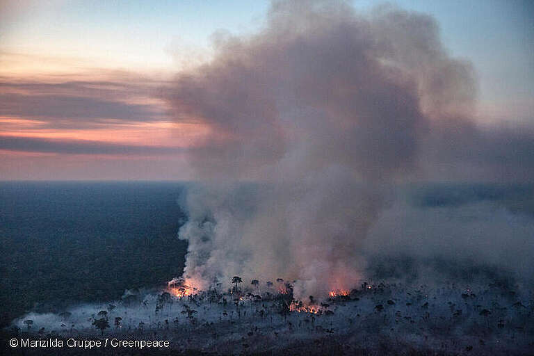 Incendio en una zona deforestada en agosto 2023 en Gleba Abelhas, un bosque federal desprotegido en Canutama, estado de Amazonas. GREENPEACE